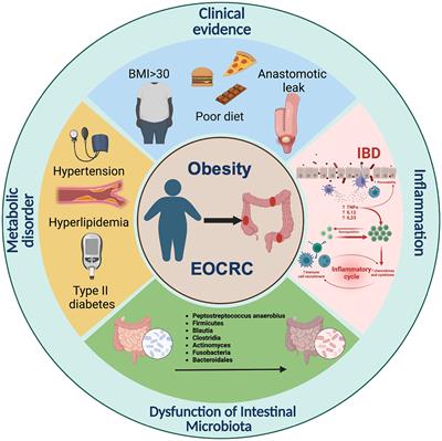 Obesity and early-onset colorectal cancer risk: emerging clinical evidence and biological mechanisms